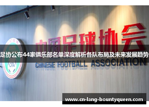 足协公布44家俱乐部名单深度解析各队布局及未来发展趋势