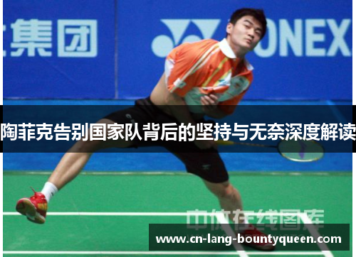 陶菲克告别国家队背后的坚持与无奈深度解读